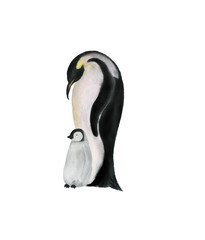Watercolor painting penguins family