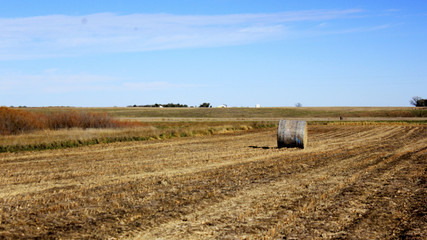 barrel of hay in field