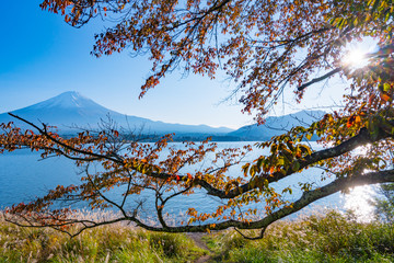河口湖の紅葉と富士山2017