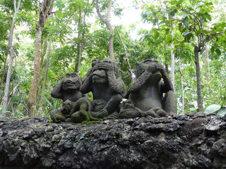 monkey forest Ubud