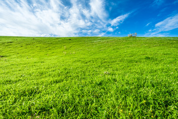 grassland in Xinjiang