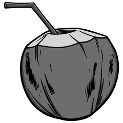 Coconut Water Illustration