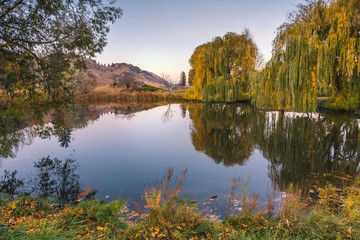 Pond with reflections of surrounding willow trees and plants in autumn at sunset