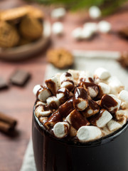 Christmas drink Hot chocolate with marshmallow and cinnamon sticks, cookies. Christmas winter concept. Close up