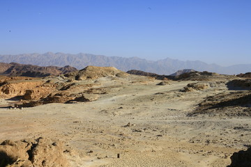 israel desert