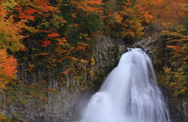 紅葉の法体の滝