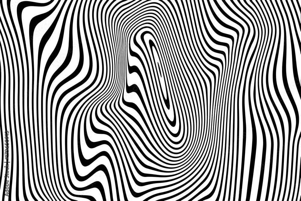 Poster Abstract pattern of wavy stripes or rippled 3D relief black and white lines background. Vector twisted curved stripe modern trendy curves or geometric zebra pattern texture background