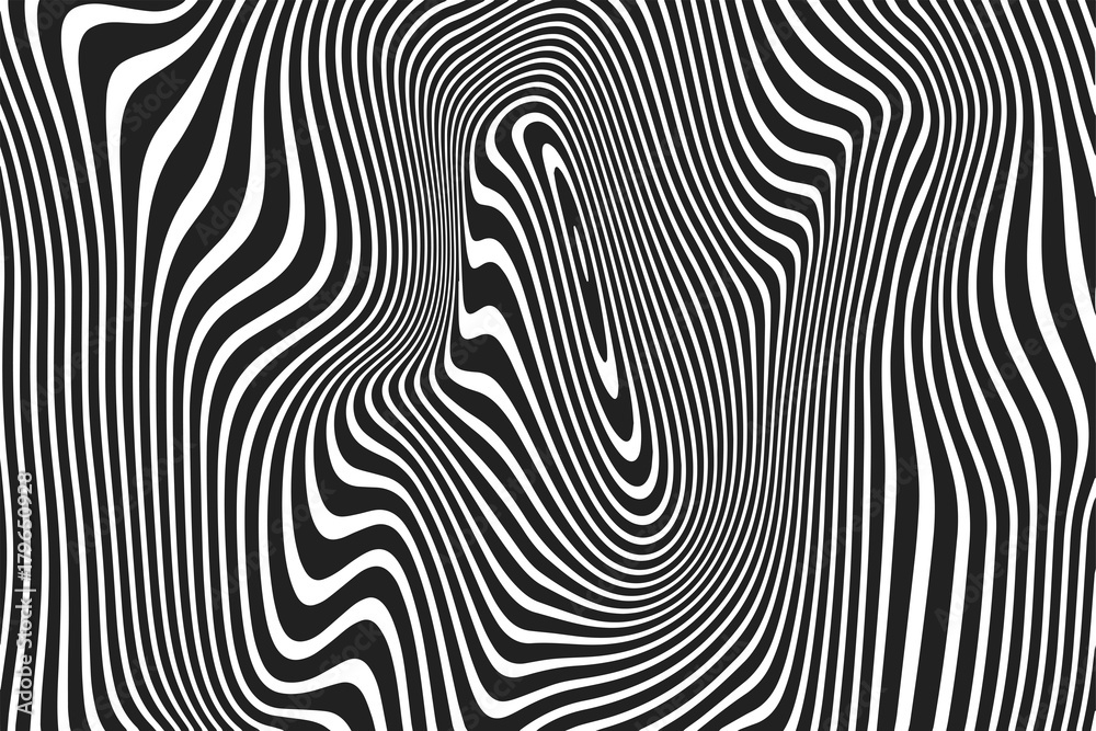 Poster Abstract wavy stripes pattern of twisted curved white and balck ripple lines background. Vector modern trendy distortion 3d relief of curves or geometric zebra texture background