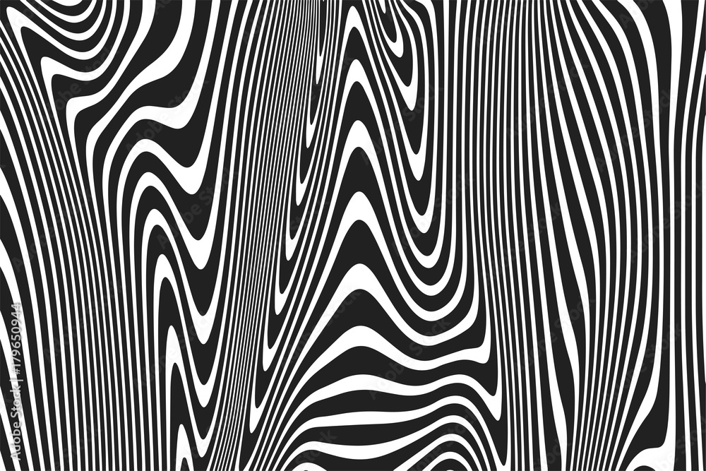 Poster Wavy stripes pattern background of twisted curved black and white abstract ripple lines background. Vector modern trendy 3D curves or geometric zebra texture effect background