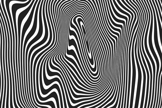 Abstract wavy stripes pattern of twisted curved white and balck ripple lines background. Vector modern trendy distortion 3d relief of curves or geometric zebra texture background