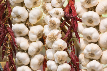 Linking of garlic in the market