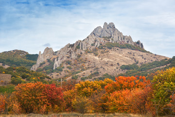 Bright  autumn tree and beautiful view of the mountains of Karadag, Crimea