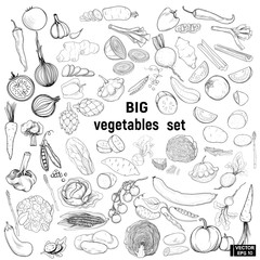 Big set vegetables, doodle.