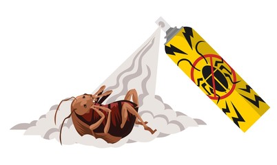 cockroach killing with spray
