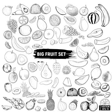 big set of fruits, doodle.