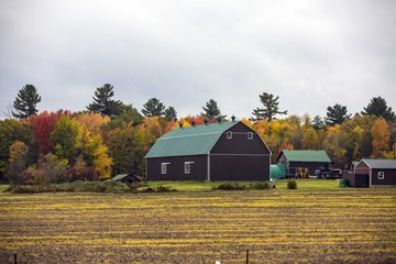 Rural Farm