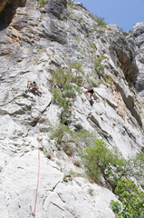 A rock climber on a wall. - obrazy, fototapety, plakaty