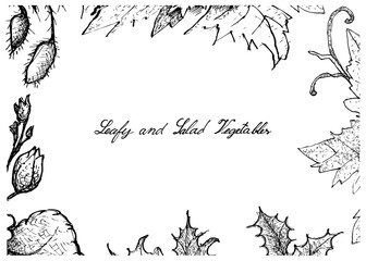 Obraz premium Hand Drawn of Leafy and Salad Vegetable