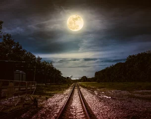 Fototapeten Night sky and full moon above silhouettes of trees and railway. © kdshutterman