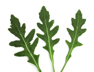 Green fresh rucola or arugula leaf isolated on white background. Top view