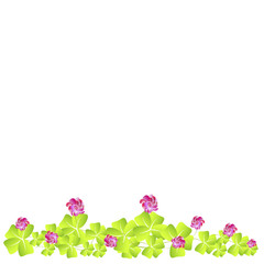 beautiful flowers
