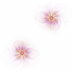 Abstract fractal lilac flowers on a white background