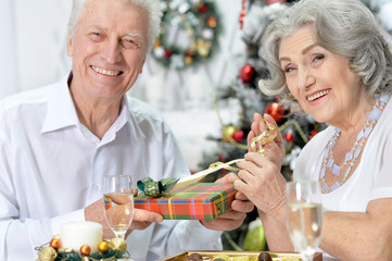 couple celebrating Christmas  