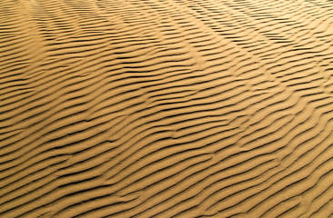 Fototapeta na wymiar Sand in the desert as a background