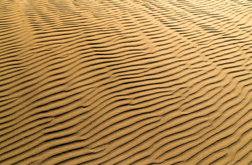 Sand in the desert as a background