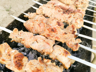 Shish kebab on metal sticks roasted on the grill