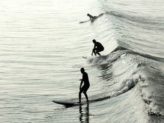 Surfowanie