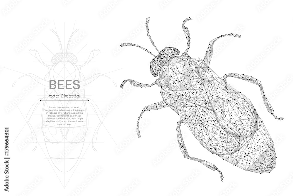 Leinwandbilder bee low poly wireframe isolated black on white background. abstract mash line and point origami. vec