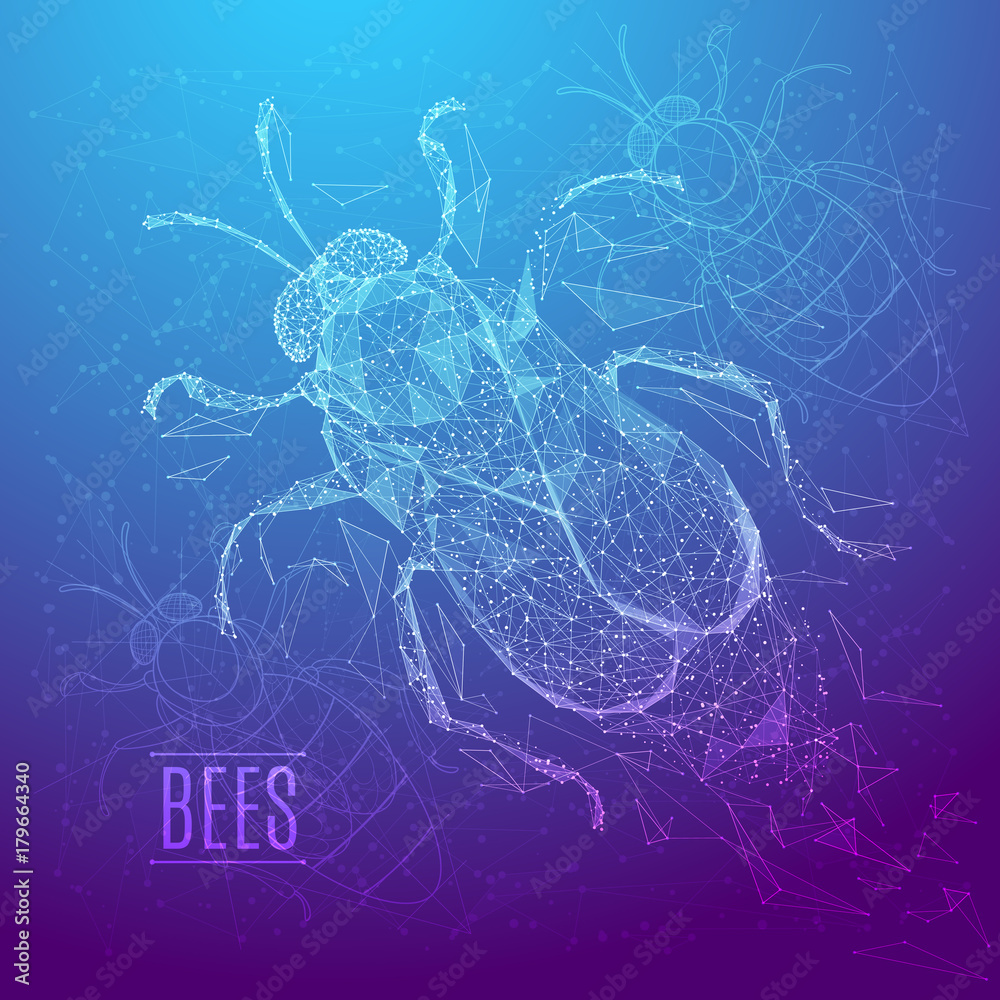 Fototapete abstract image of a bee in the form of a starry sky or space, consisting of points, lines, and shape