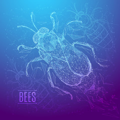 Abstract image of a bee in the form of a starry sky or space, consisting of points, lines, and shapes in the form of planets, stars and the universe. Vector insect nature concept.