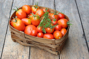 Ripe tomatoes in basket