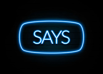Says  - colorful Neon Sign on brickwall