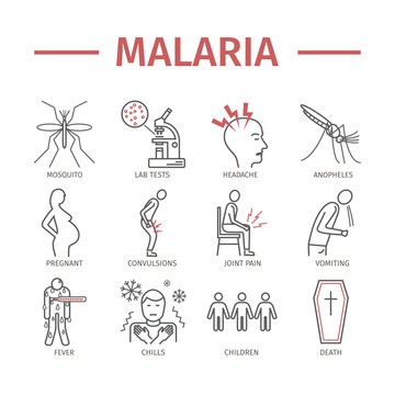 Malaria line icon Infographics. Symptoms, Vector signs for web graphics.