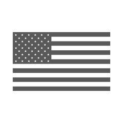 American flag. Vector illustration.