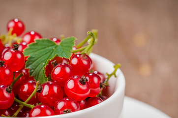 red currant in a white coffee cup/red currant in a white coffee cup on a wooden background. Close up