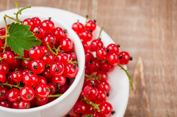 red currant in a white coffee cup/red currant in a white coffee cup on a wooden background. Top view