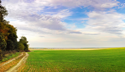 Fototapeta na wymiar Winding footpath covered in yellow dried leaves near a green lush pasture under the blue rippled dramatic sky with white clouds above the horizon. Warm day in October. Panorama of serene landscape