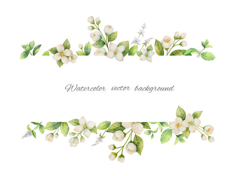 Watercolor vector banner of flowers Jasmine and mint branches isolated on white background.