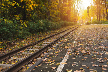 Fototapeta premium railway station in autumn forest