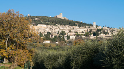 Obraz premium View up to the hillside historic city of Assisi and the Rocca Maggiore, Umbria, Italy