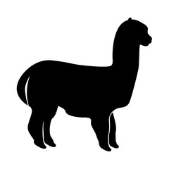 Alpaca it is black icon .