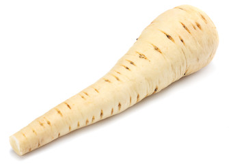 Parsnip isolated on the white background close up
