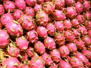 Pile of Dragon Fruits in the fruit market