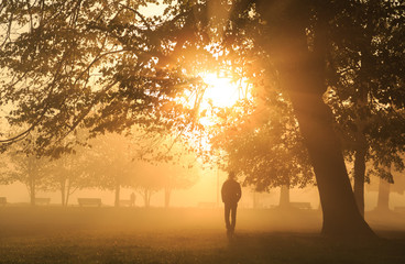 A man walking in a foggy park during a foggy, autumn sunrise.