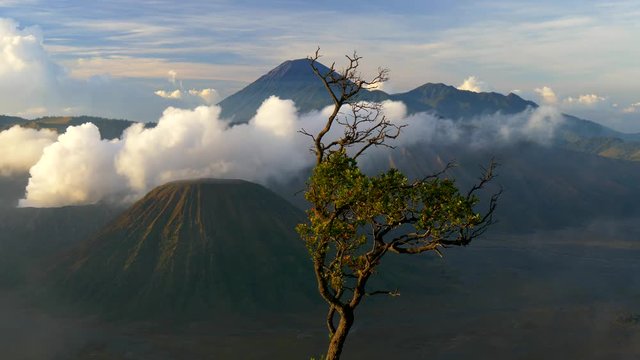 
00:02 | 00:18
1&times;

Morning landscape with Bromo volcano, tree and clouds. East Java, Indonesia
