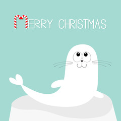 Merry Christmas Candy cane text. White sea lion. Harp seal pup lying on iceberg ice. Cute cartoon character. Happy baby animal collection. Sea ocean water. Blue background. Flat design